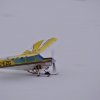 Neujahrsfliegen